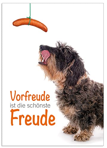 Lustige Postkarte, Grußkarte, Karte mit Hund "Vorfreude ist die schönste Freude" Dackel schnappt nach Wurst im 3er Set von Der-Karten-Shop.de