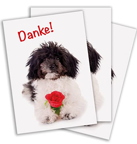 Postkarte, Grußkarte, Hundepostkarte, Dankeskarte "Danke", mit Hund und Rose im 3er Set von Der-Karten-Shop.de