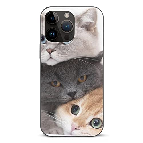 Desheze Katzen Handyhülle Hülle Schützende Schutzhülle Für iPhone 14 Pro Max von Desheze