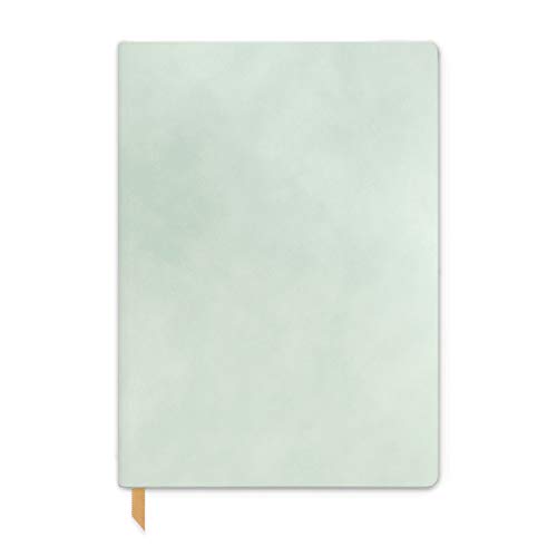 DesignWorks Ink Tagebuch aus veganem Wildleder, flexibles Gewebe, mit 192 linierten Seiten und Leseband für Arbeit, Schreiben, Tagebuch, 14,6 x 20,3 cm, Mintgrün von Designworks Ink