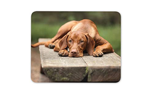 Big Brown Dog Vizsla Cute Animal Mousepad Pad - Seine Hers Pet Gift # 16941 von Destination Vinyl Ltd