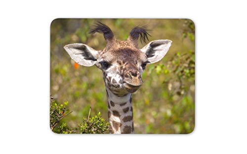 Lustige Baby-Giraffe Mauspad Pad - Wild Animal Nettes Afrikas Computer-Geschenk # 15763 von Destination Vinyl Ltd