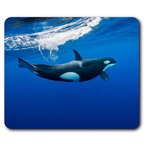 Orca Killer Whale Unterwasser Mauspad Pad Computer PC Laptop Gaming Büro Home Desk Accessory Gadget 2006 von Destination Vinyl Ltd
