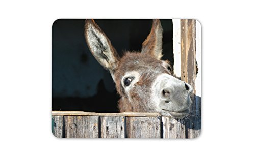 PC-Mausmatte mit Motiv „vorwitziger Esel“, niedliches Geschenk für Kinder, #8260 PC-Mausmatte mit Motiv „vorwitziger Esel“, niedliches Geschenk für Kinder, #8260 von Destination Vinyl Ltd