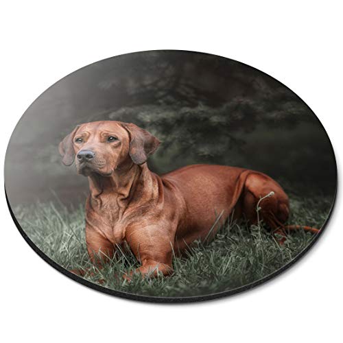 RM16679 Mauspad, rund, Rhodesian Ridgeback Hund Büro Geschenk von Destination Vinyl Ltd