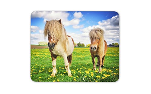 Nette Ponys Mauspad Pad - Pony Pferd Kinder Mädchen Jungen Geschenk PC Computer # 8518 von Destination Vinyl Mats
