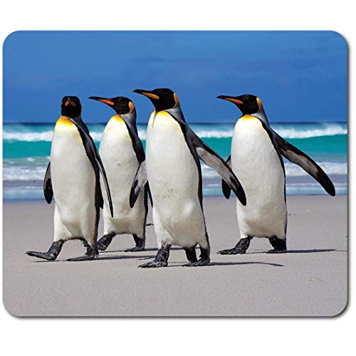 Rechteckiges Mauspad – Strand-Pinguine laufender Pinguin 23,5 x 19,6 cm (9,3 x 7,7 Zoll) für Computer & Laptop, Büro, rutschfeste Unterseite #44709 von Destination