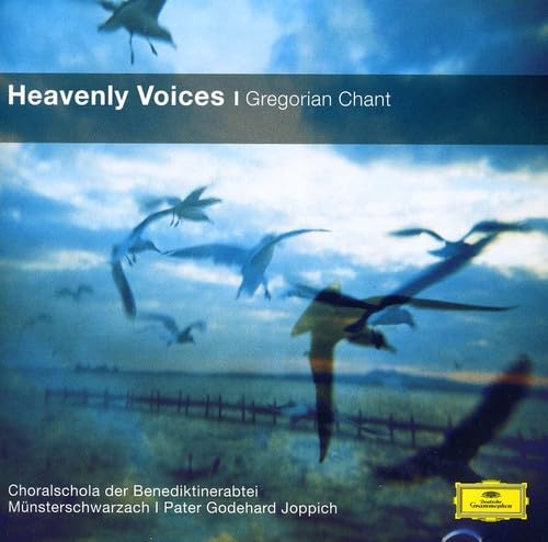 Heavenly Voices - Gregorian Chant von Deutsche Grammophon