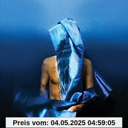 Flying Wig Flying Wig von Devendra Banhart