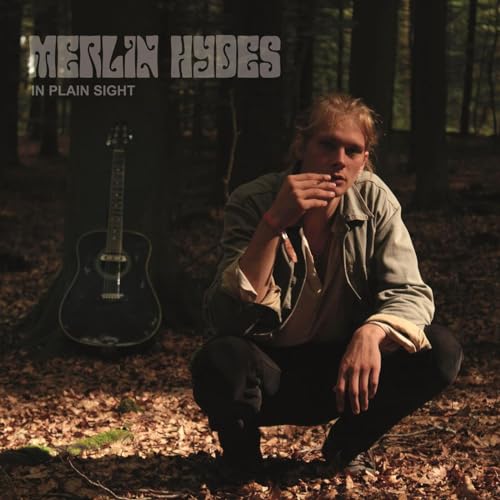 In Plain Sight [Vinyl LP] von DEVILDUCK