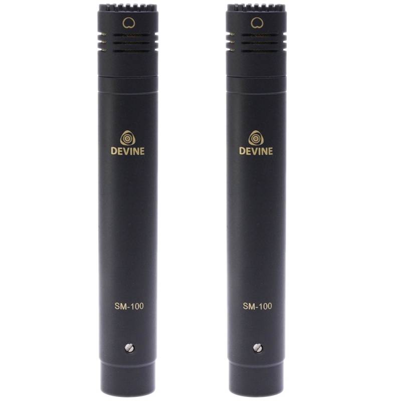 Devine SM-100 Stereo Set von Devine