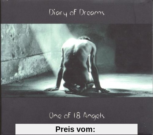 One of 18 Angels von Diary of Dreams