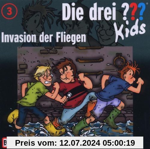 003/Invasion der Fliegen von Die Drei ??? Kids