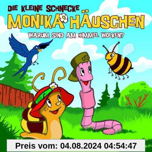 04: Warum Sind am Himmel Wolken? von Die Kleine Schnecke Monika Häuschen