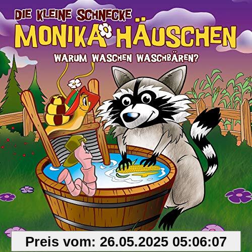 53: Warum waschen Waschbären? von Die kleine Schnecke Monika Häuschen