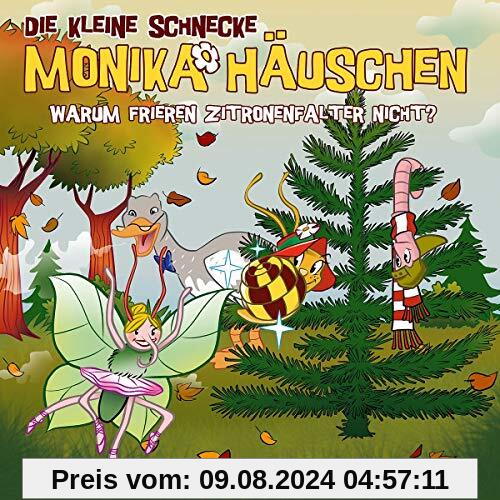 54: Warum frieren Zitronenfalter nicht? von Die Kleine Schnecke Monika Häuschen