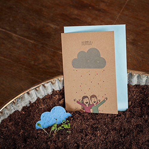 Die Stadtgärtner Grusskarte Hurra - Fröhliche Gratulationskarte zum Einpflanzen (Wildblumen) - für Schwangerschaft und andere Feierlichkeiten von Die Stadtgärtner
