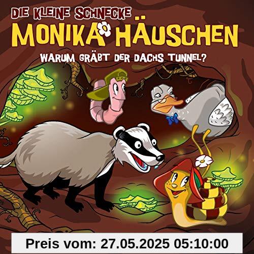 58: Warum gräbt der Dachs Tunnel? von Die kleine Schnecke Monika Häuschen