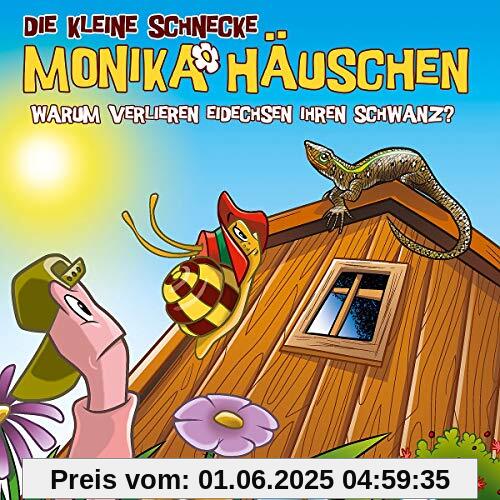 59: Warum verlieren Eidechsen ihren Schwanz? von Die kleine Schnecke Monika Häuschen
