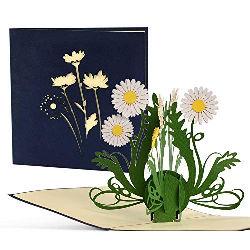 Geburtstagskarte mit Blumen, Pop up Karte für Mama oder Oma, 3D Grußkarte Gute Besserung, Glückwunschkarte Geburtstag, Geldgeschenke, F19 von Diese-Klappkarten