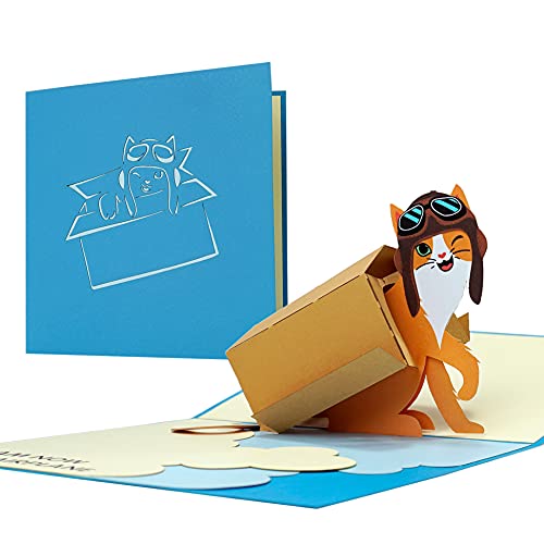 Karte Katze lustig als Geburtstagskarte, Gutschein oder Glückwunschkarte mit 3D Pop Up Katze, Schöner Geschenkgutschein für Katzenliebhaber Geschenke, F23 von Diese-Klappkarten