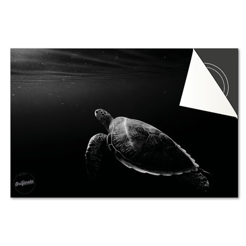 Induktionsschutz von Dietrix - Schutzmatte 76x51,5cm - Schildkröte Schwarz Weiß - Base - Für Induktionskochfeld/Induktionsherd - Herdabdeckung Ceranfeld - Helle Unterseite - Herdabdeckplatte Induktionsschutz von Dietrix - Schutzmatte 76x51,5cm - Schildkröte Schwarz Weiß - Base - Für Induktionskochfeld/Induktionsherd - Herdabdeckung Ceranfeld - Helle Unterseite - Herdabdeckplatte von Dietrix