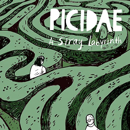 A Stray Labyrinth von Diger (Harmonia Mundi)