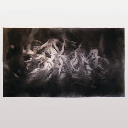 Swarmlife von Diger (Harmonia Mundi)