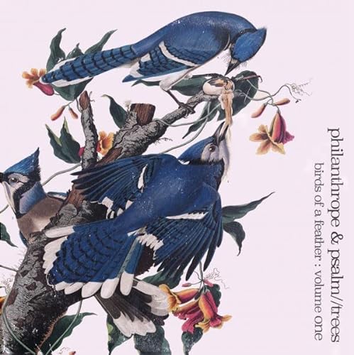 Birds Of A Feather Volume 1 [Vinyl LP] von Diggers Factory