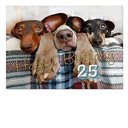 DigitalOase Glückwunschkarte 25. Geburtstag A5 Geburtstagskarte Grußkarte Klappkarte Umschlag #DOGS TIERE HUNDE von DigitalOase