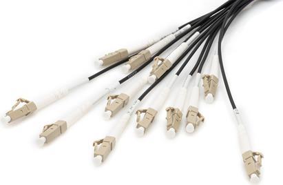 DIGITUS 30M BREAKOUT CABLE 12 FIBERS OM4 LC/UPC-LC/UPC UNIV. BLK (DK-2433CU030BK-BBB) von Digitus