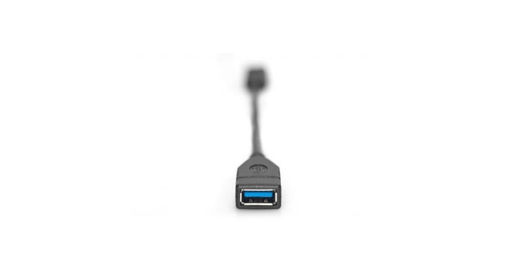 Digitus DIGITUS AK-300315-001-S Video-Kabel Digitus DIGITUS AK-300315-001-S Video-Kabel von Digitus