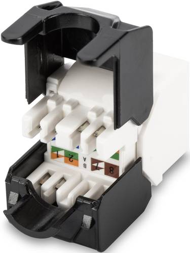 Digitus DN-93502 RJ45-Einbaumodul Keystone CAT 5e von Digitus