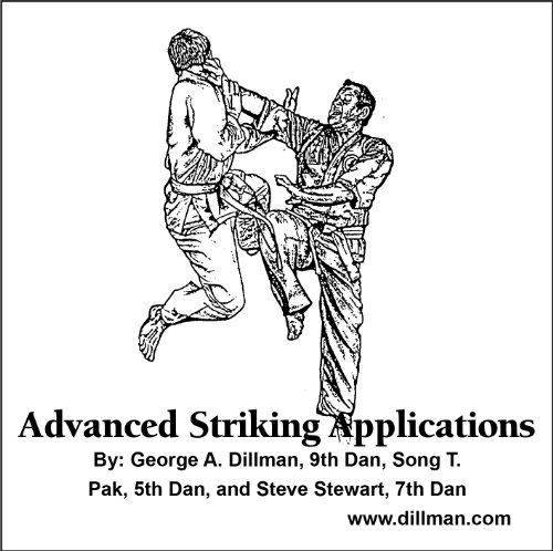 DVD ASA: Advanced Striking Applications von Dillman Karate International Publishing