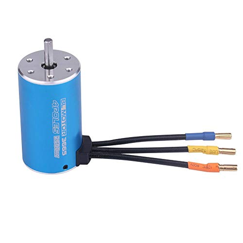 Dilwe RC Motor, 3665 2600KV 4-poliger bürstenloser Motor für ferngesteuertes Auto-RC-Boot, Zubehör für Modellautos Dilwe RC Motor, 3665 2600KV 4-poliger bürstenloser Motor für ferngesteuertes Auto-RC-Boot, Zubehör für Modellautos von Dilwe