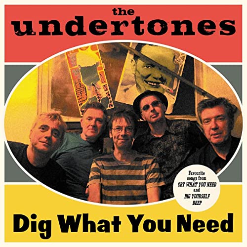 Dig What You Need (Best of 2003-2007) [Vinyl LP] von Dimple Discs