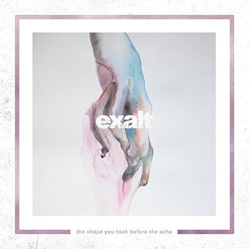 Shape You Took Before The Ache [Vinyl LP] von Dine Alone Music