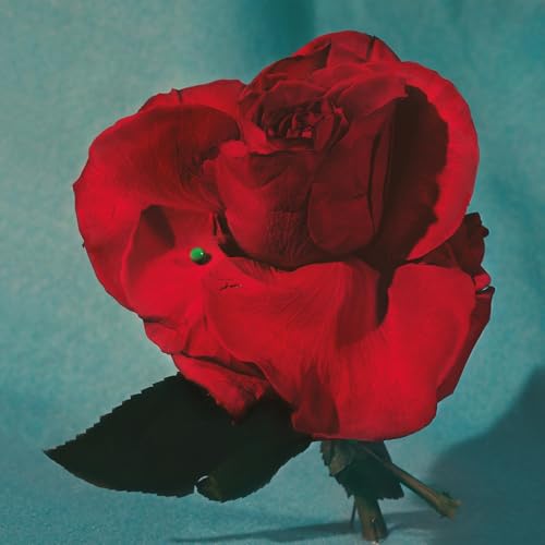 Up On Gravity Hill - Half Red & Half Black Colored Vinyl [Vinyl LP] von Dine Alone