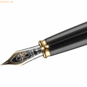 Diplomat Federaggregat vergoldete Beschläge mit Goldfeder 14kt bi-colo Diplomat Federaggregat vergoldete Beschläge mit Goldfeder 14kt bi-colo von Diplomat