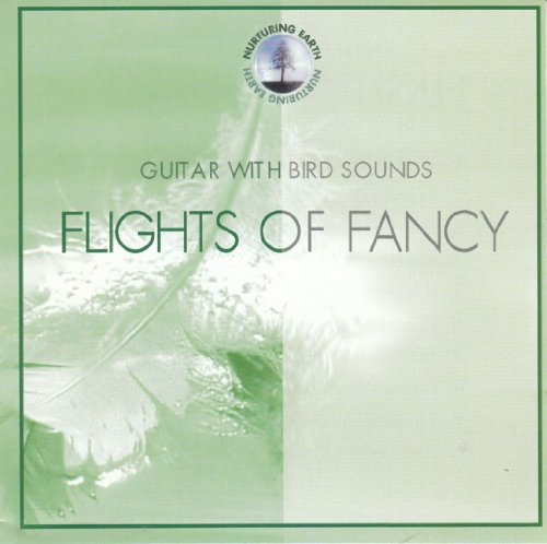 Flights of Fancy von Direct Source Label