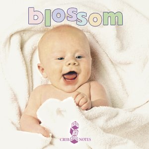 Blossom von Direct Source Special Products