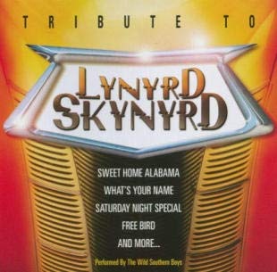 Tribute to Lynyrd Skynyrd von Direct Source