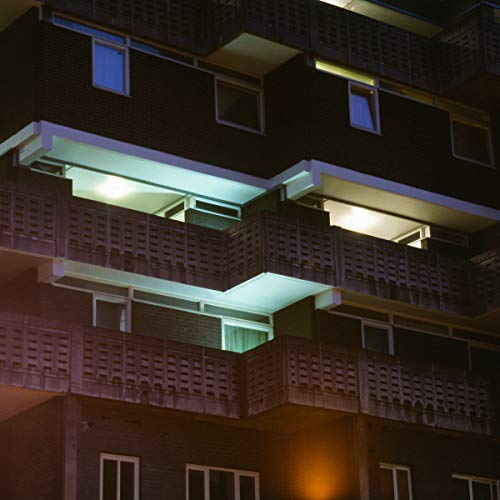 Garden (feat. ASOK Remix) [Vinyl LP] von Dirt Crew