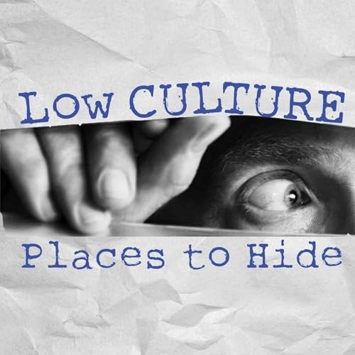 Places to Hide [Vinyl LP] von Dirtnap