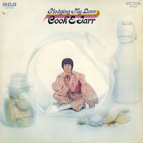 Pledging My Love [Vinyl LP] von Disca