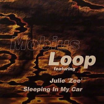 Sleeping in My Car [12 [Vinyl LP] von Disca