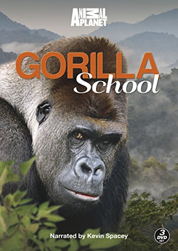 Gorilla School - [3 DVDs] von Discovery Channel