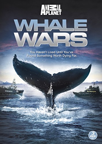 Whale Wars: Series 1 [DVD] [UK Import] von Discovery Channel