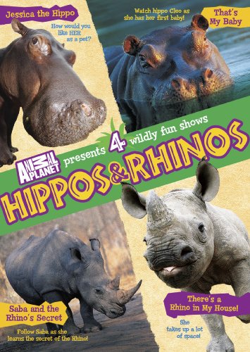 Hippos & Rhinos [DVD] [Region 1] [NTSC] [US Import] von Discovery - Gaiam