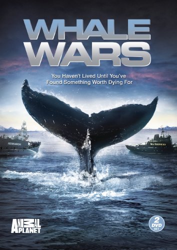 Whale Wars: Season 1 (2pc) [DVD] [Region 1] [NTSC] [US Import] von Discovery - Gaiam